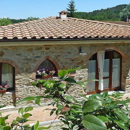 Holiday Home Casa Carla, Ripafratta מראה חיצוני תמונה